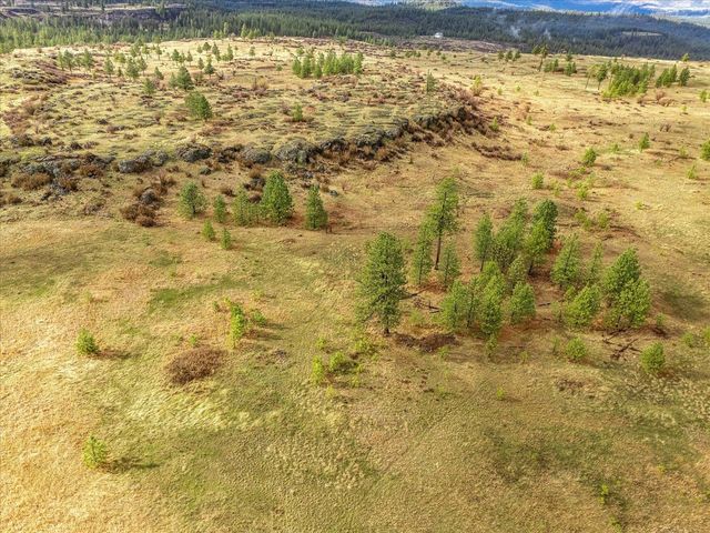 XX Petrichor Ln, Nine Mile Falls, WA 99026