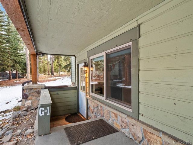 550 S French St G1, Breckenridge, CO 80424