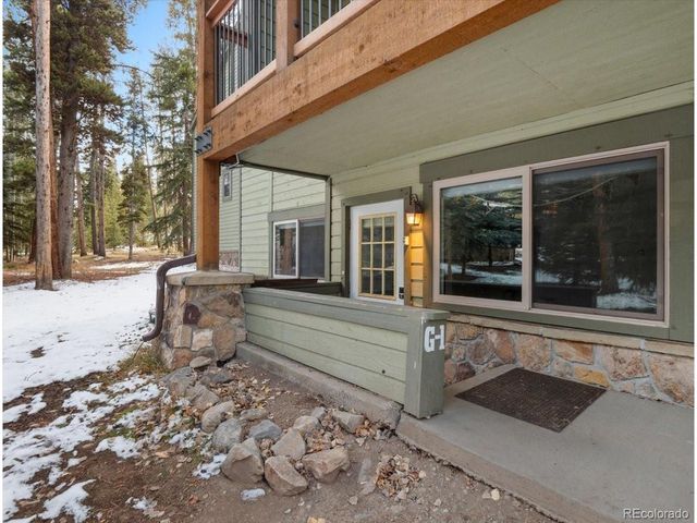 550 S French St G1, Breckenridge, CO 80424