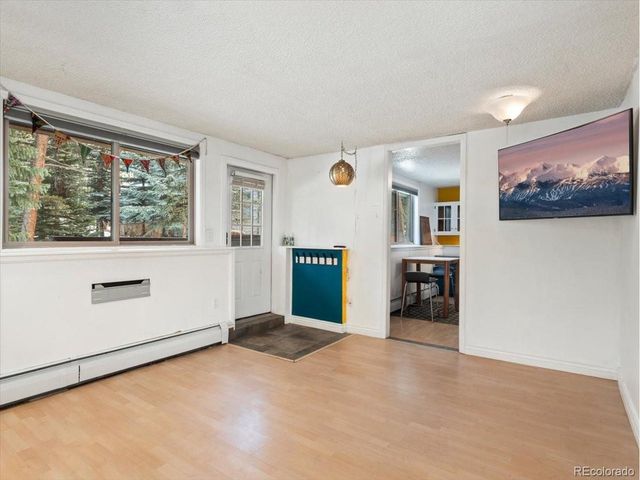 550 S French St G1, Breckenridge, CO 80424