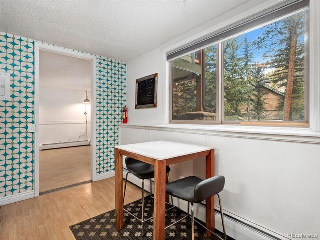 550 S French St G1, Breckenridge, CO 80424