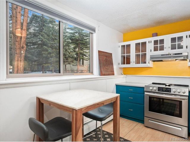 550 S French St G1, Breckenridge, CO 80424