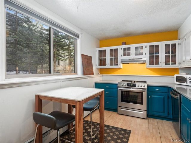 550 S French St G1, Breckenridge, CO 80424