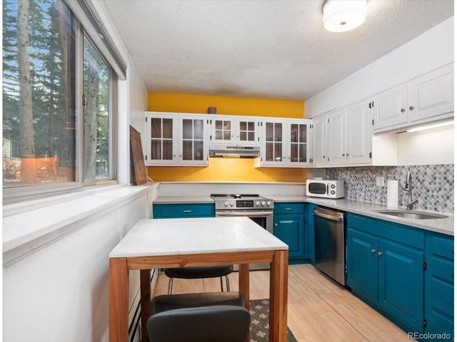 550 S French St G1, Breckenridge, CO 80424