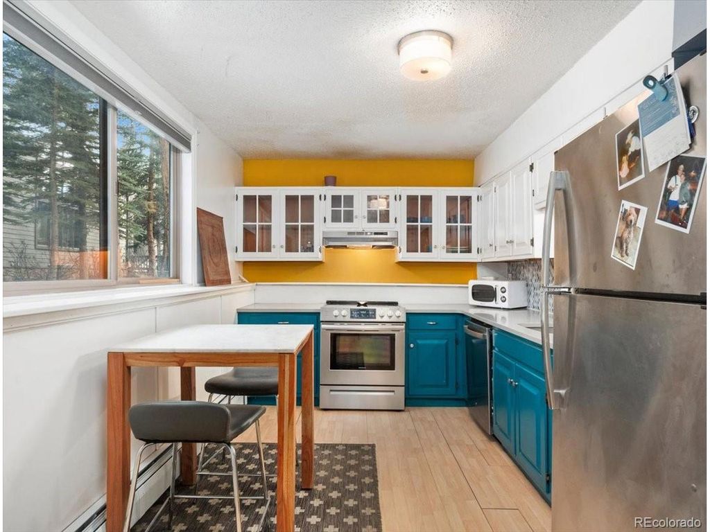 550 S French St G1, Breckenridge, CO 80424