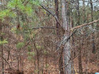 286 WILLOW LANE, Vincent, AL 35178