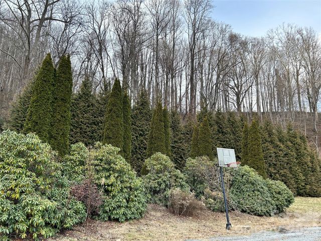 330 Potts Drive, Waynesville, NC 28785