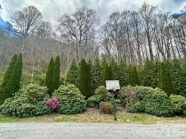 330 Potts Drive, Waynesville, NC 28785