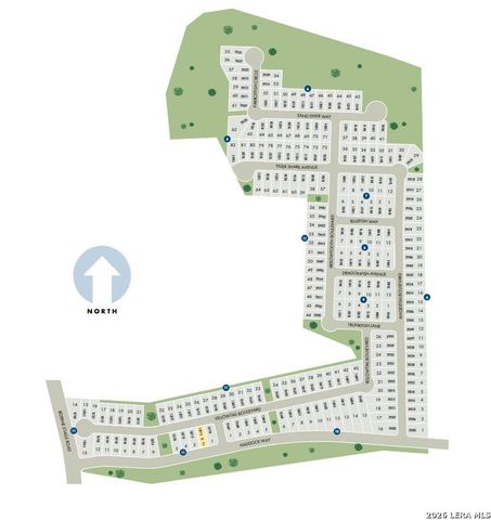 29502 Angelfish Blvd, Boerne, TX 78006