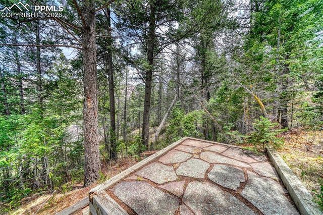 9340 Maveta Road, Cascade, CO 80809