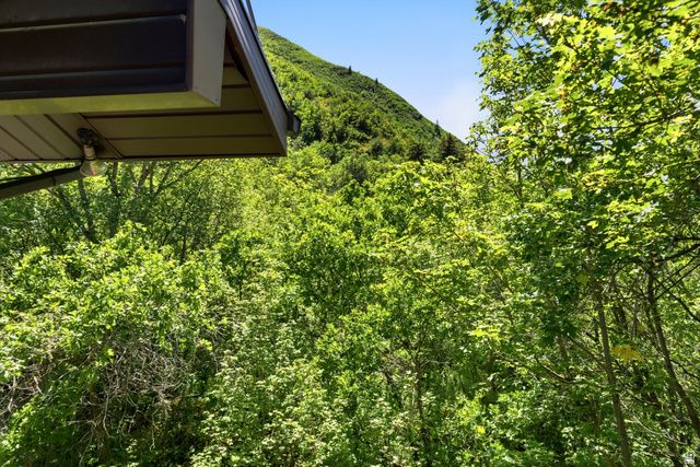 4004 S MOUNTAIN MAPLE LN, Springville, UT 84663