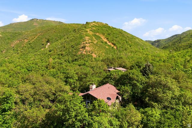 4004 S MOUNTAIN MAPLE LN, Springville, UT 84663