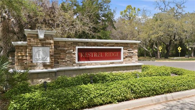 15108 KESTRELGLEN WAY, Lithia, FL 33547