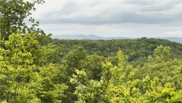 296 Long Mountain Road, Pickens, SC 29671