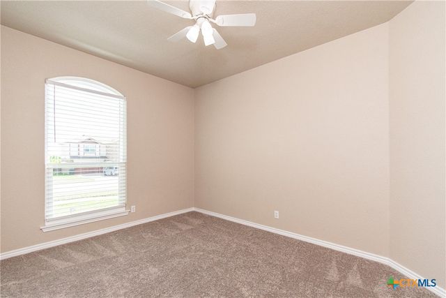 2705 Uvero Alto Drive, Killeen, TX 76549