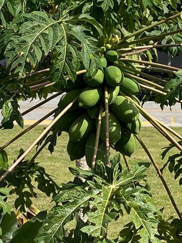 72 Newport D 72, Deerfield Beach, FL 33442