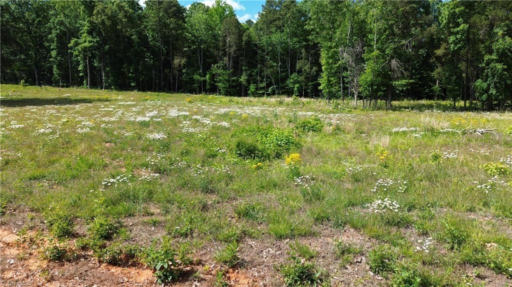 246 Elderberry Lane, Lexington, NC 27292
