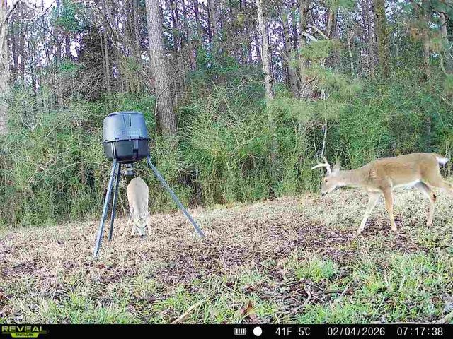 0004 County Road 2780, Woodville, TX 75979