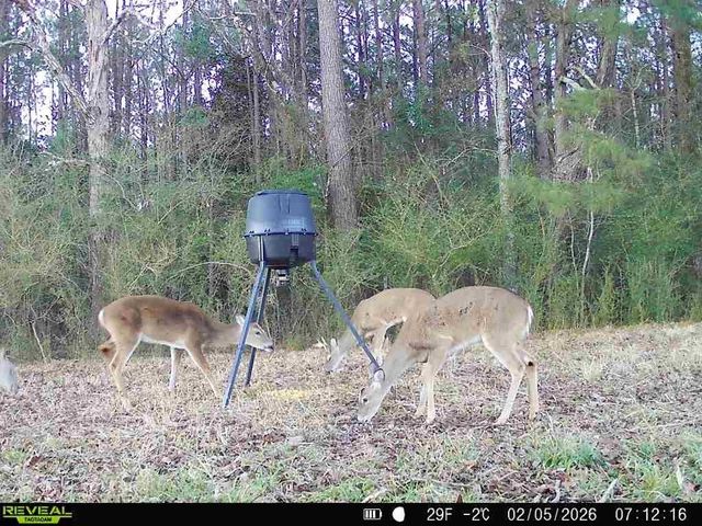 0004 County Road 2780, Woodville, TX 75979