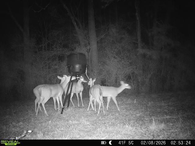 0004 County Road 2780, Woodville, TX 75979