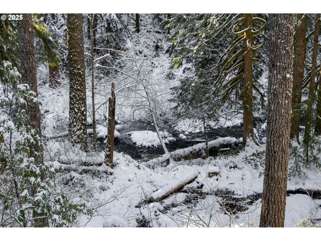 78596 E ROAD 32 Lot 28, Government Camp, OR 97028