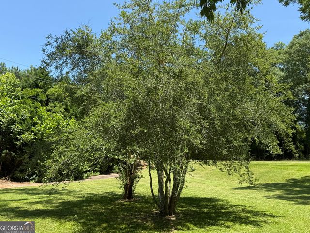 1511 W Poplar Street, Griffin, GA 30224