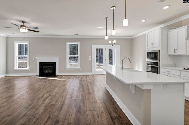 119 Greengarden Drive, Chapin, SC 29036