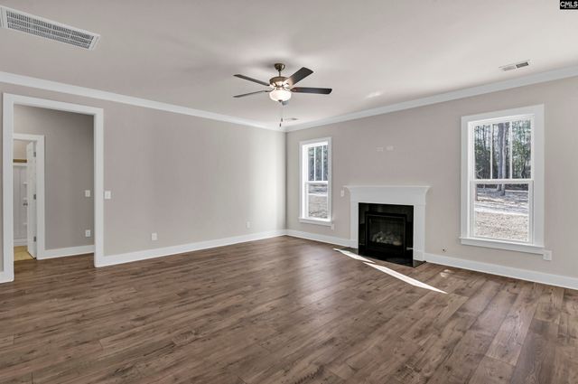 119 Greengarden Drive, Chapin, SC 29036