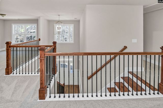 119 Greengarden Drive, Chapin, SC 29036