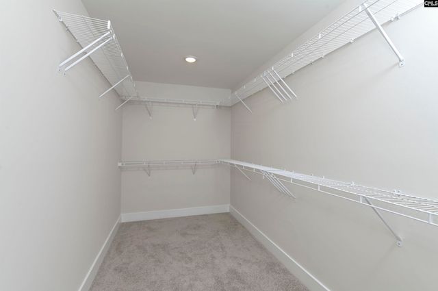 119 Greengarden Drive, Chapin, SC 29036