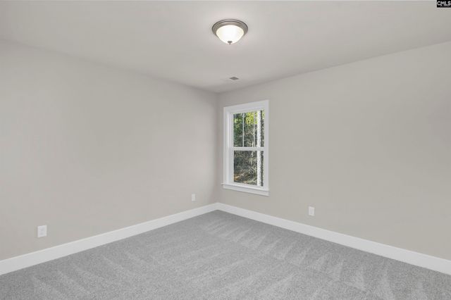 119 Greengarden Drive, Chapin, SC 29036