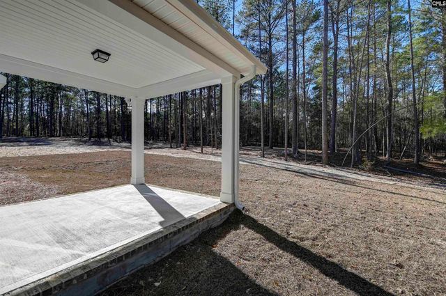 119 Greengarden Drive, Chapin, SC 29036