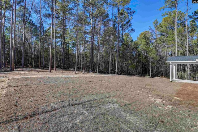 119 Greengarden Drive, Chapin, SC 29036