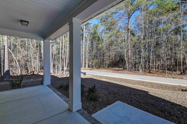 119 Greengarden Drive, Chapin, SC 29036