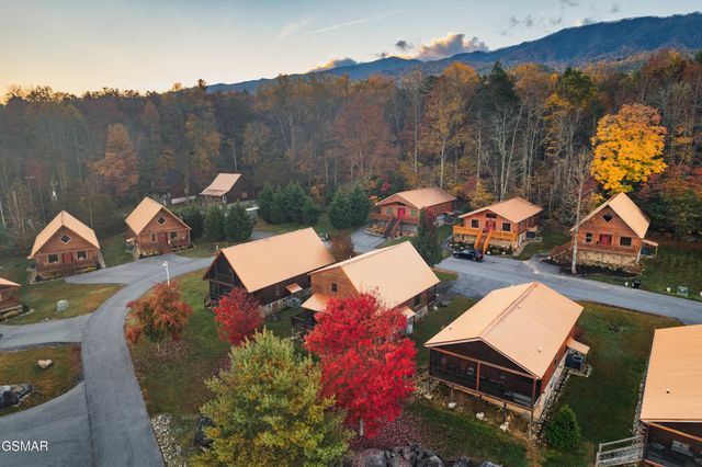 223 Forrest Loop Way, Gatlinburg, TN 37738
