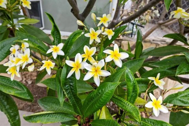 887 Kingman Drive, Norco, CA 92860