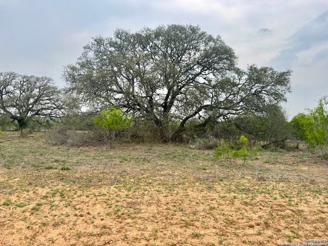 428 HORTON RD, Poteet, TX 78065