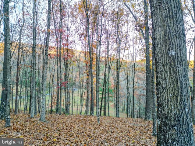 216 ANGEL COUNTRY LN, Paw Paw, WV 25434