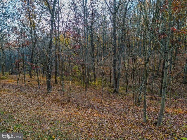 216 ANGEL COUNTRY LN, Paw Paw, WV 25434