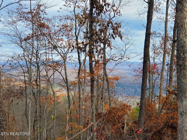 Bull Creek Lot H Rd, Huntsville, TN 37756