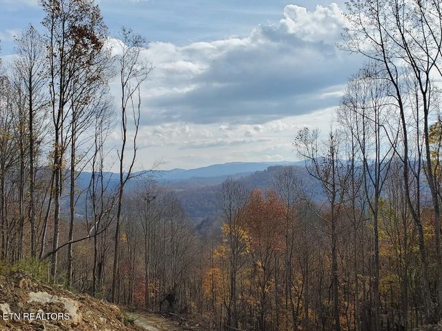 Bull Creek Lot H Rd, Huntsville, TN 37756