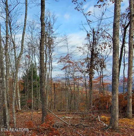 Bull Creek Lot H Rd, Huntsville, TN 37756