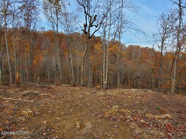 Bull Creek Lot H Rd, Huntsville, TN 37756