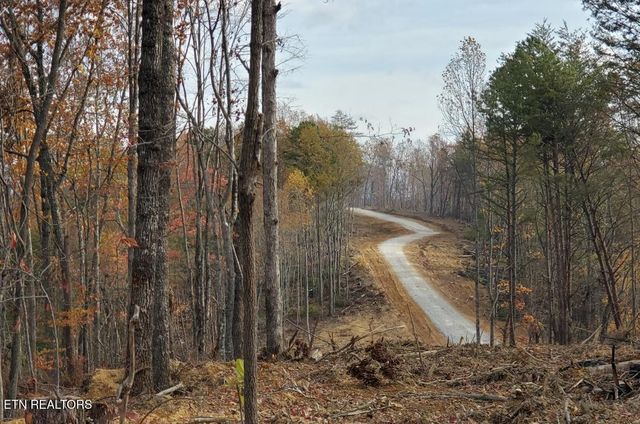 Bull Creek Lot H Rd, Huntsville, TN 37756