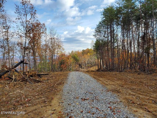 Bull Creek Lot H Rd, Huntsville, TN 37756