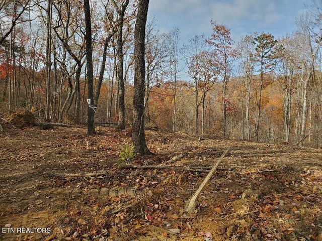 Bull Creek Lot H Rd, Huntsville, TN 37756
