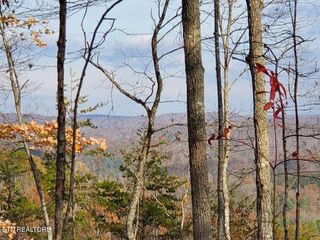 Bull Creek Lot H Rd, Huntsville, TN 37756