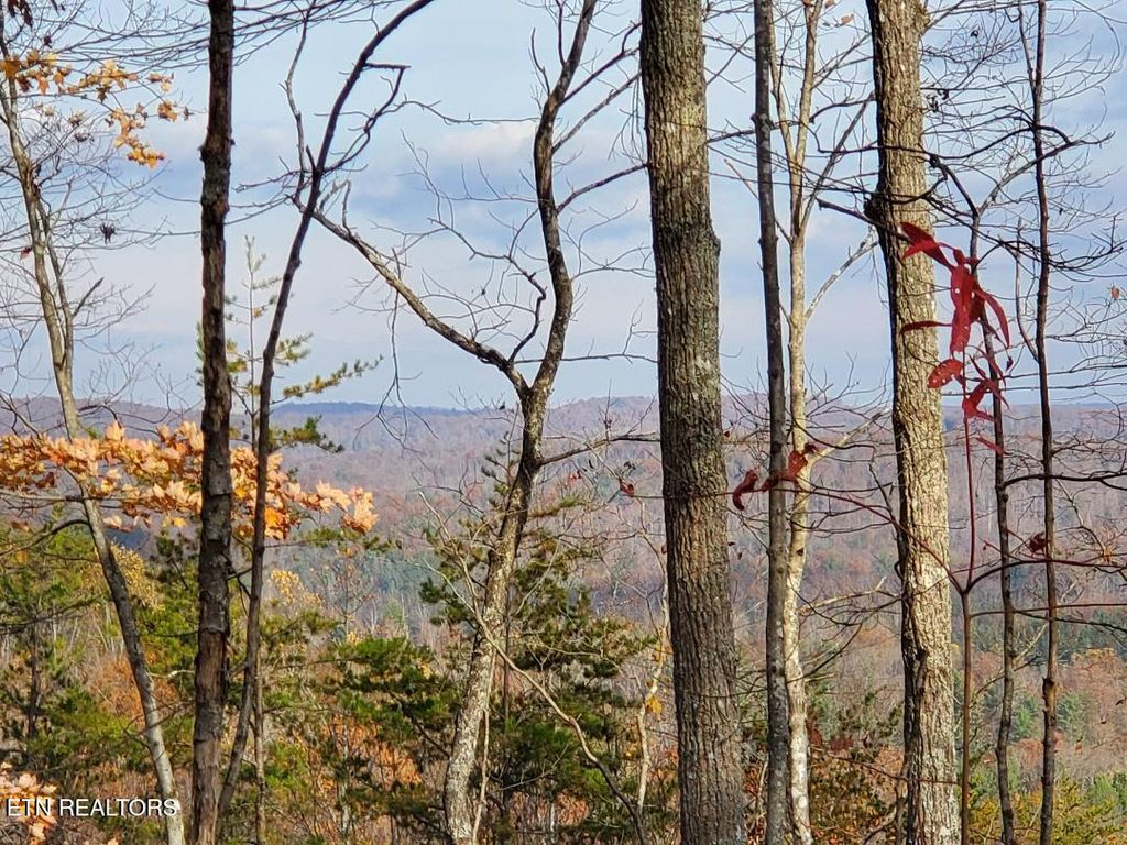 Bull Creek Lot H Rd, Huntsville, TN 37756