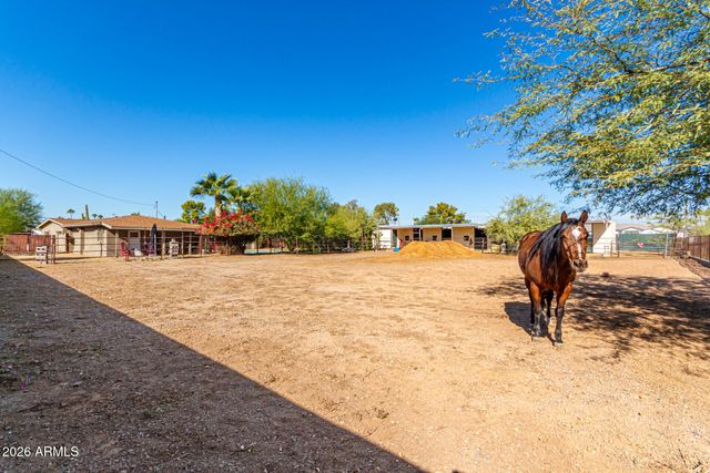 12423 N 64th Street, Scottsdale, AZ 85254