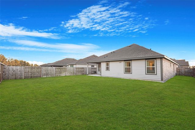 19111 Pinewood Grove Trail, New Caney, TX 77357
